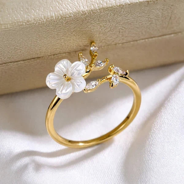 Anillo de lente